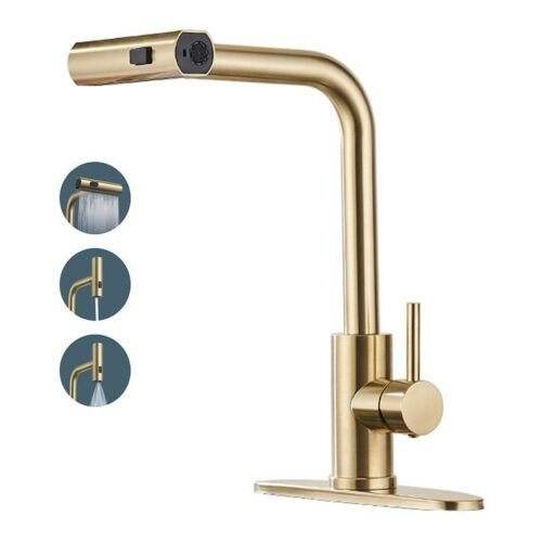 Modern pull-out faucet Kitchen Faucet with Spout Swivel
